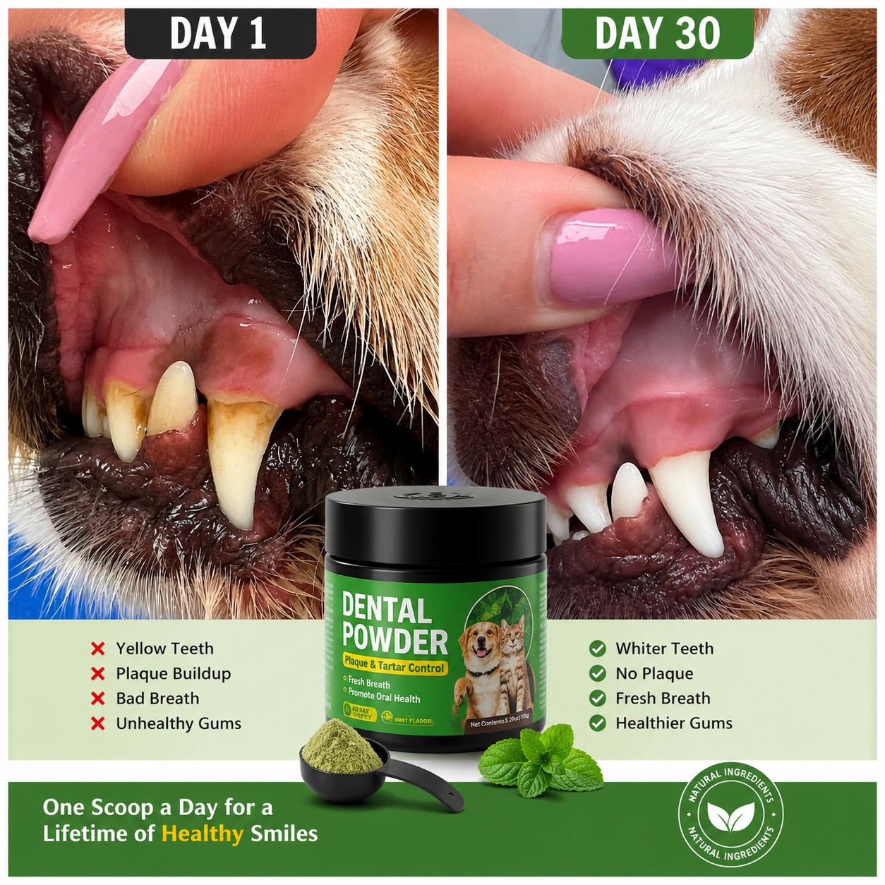 PetBiotic Oral Care